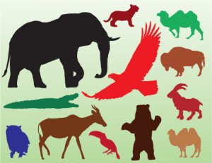 Animal Silhouettes