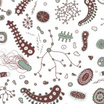 Bacteria Vector Pack