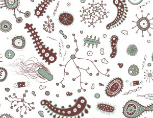 Bacteria Vector Pack
